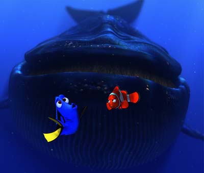 finding nemo dory. Marlin and Dory meet